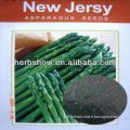 New Jersy F1 Hybrid Asparagus Seeds for planting